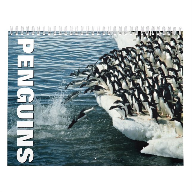 Pinguine Wall Calendar Kalender (Titelbild)