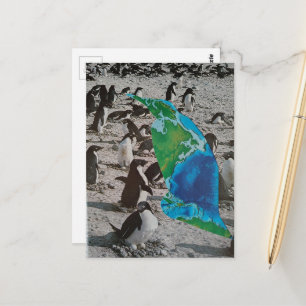 Pinguine Wildtier Collage Postkarte