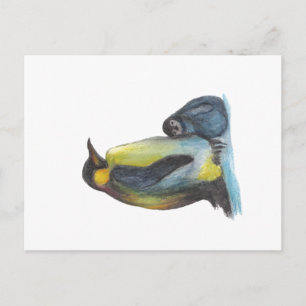 Pinguine Zeichnend Postkarten