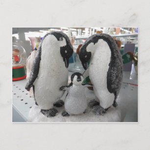 Pinguinfamilie Postkarte