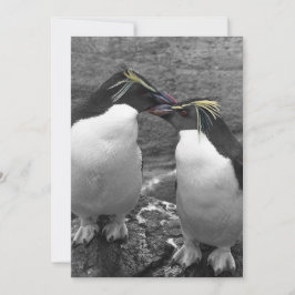Pinguinfarbexplosion Einladung