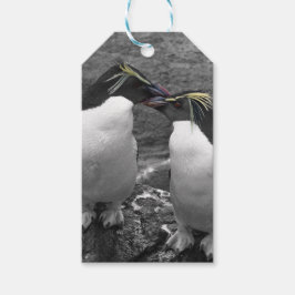 Pinguinfarbexplosion Geschenkanhänger