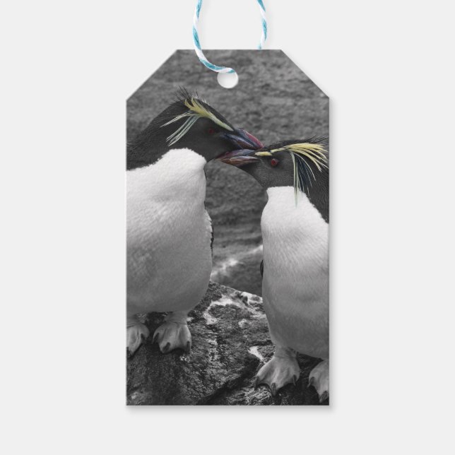 Pinguinfarbexplosion Geschenkanhänger (Vorderseite)