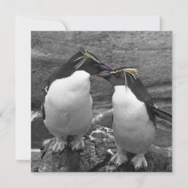 Pinguinfarbexplosion Save The Date