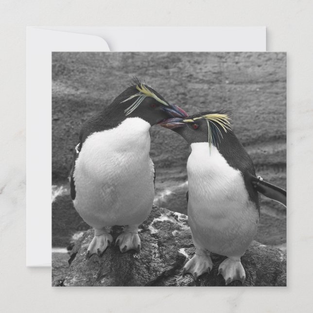 Pinguinfarbexplosion Save The Date (Vorderseite)