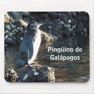 Pinguino De Galapagos Mousepad