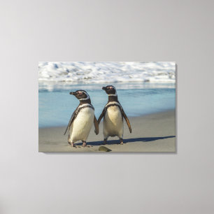 Pinguinpaar am Strand Leinwanddruck