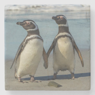 Pinguinpaar am Strand Steinuntersetzer