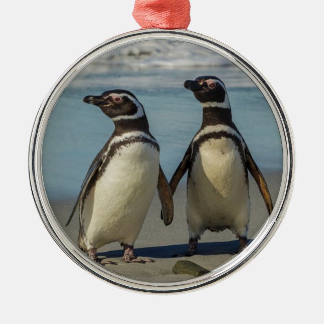Pinguinpaare am Strand Silbernes Ornament (Vorne)