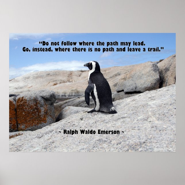 Pinguinphilosophie Poster (Vorne)