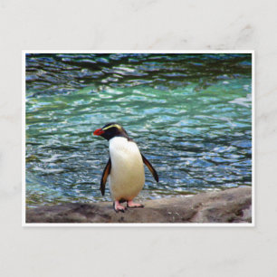 Pinguinstrecke Postkarte