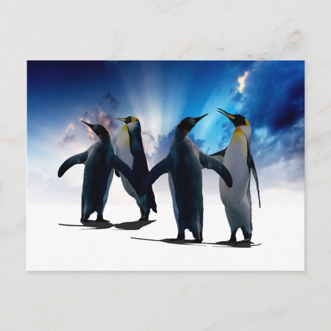 Pinguintanz Postkarte (Vorderseite)