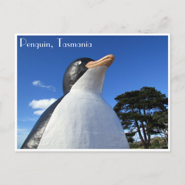 Pinguintasmanie Postkarte (Vorderseite)