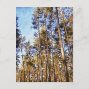 Pinie Postkarte