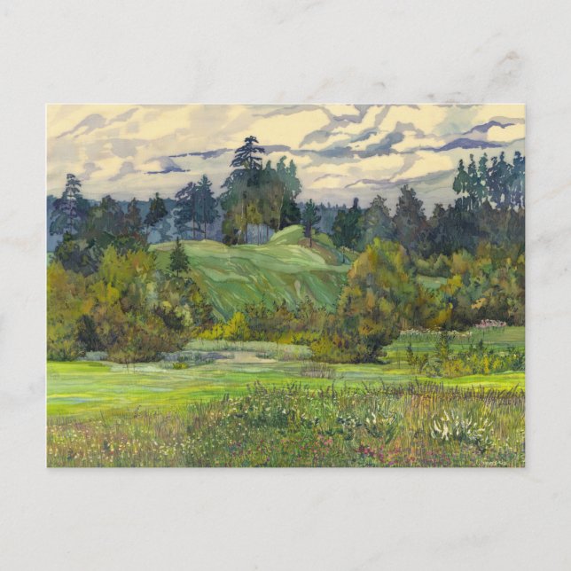 Pinien Postkarte (Vorderseite)