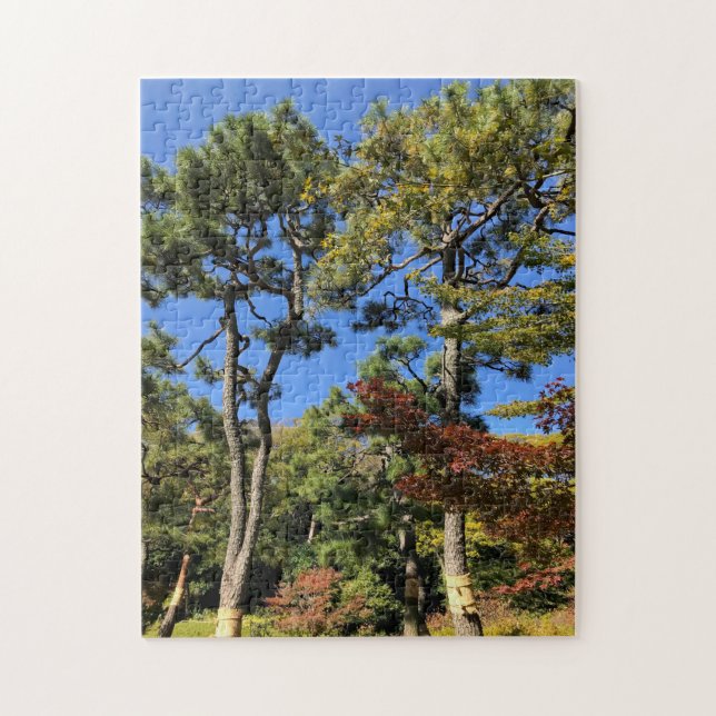 Pinienbäume im Herbst Himmel (Vertikal)