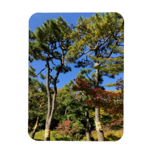 Pinienbäume im Herbst Himmel Magnet
