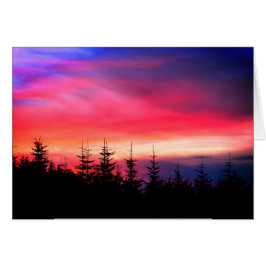 Pinienbäume unter dem Sonnenuntergang von Oregon
