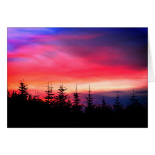 Pinienbäume unter dem Sonnenuntergang von Oregon