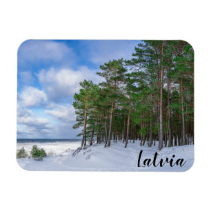 Pinienwald an der Küste Lettlands Magnet