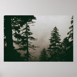 Pinienwald Vintage Pinien Wald Poster
