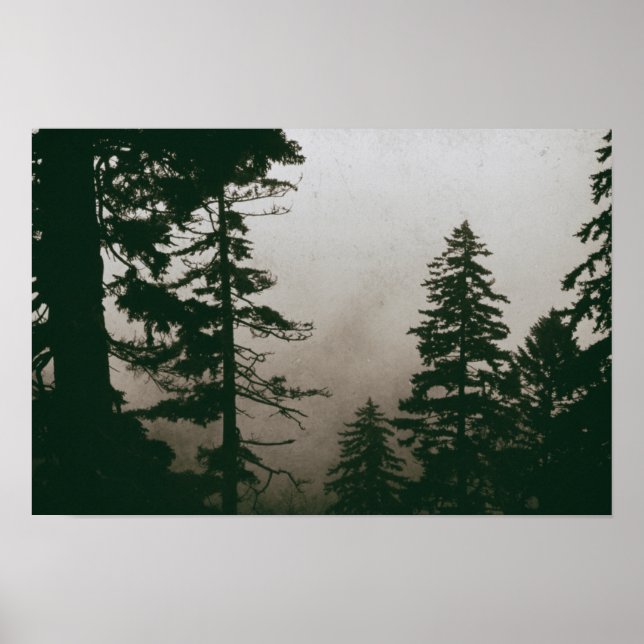Pinienwald Vintage Pinien Wald Poster (Vorne)