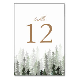 Pinienwaldhochzeit Tischnummer