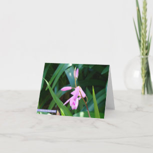 Pink Against Green Karte