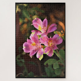 Pink Alstroemeria Lilly Puzzle