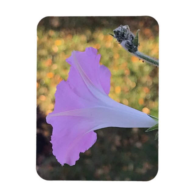 Pink and Gold Sparkle Morning Glory  Magnet (Vertikal)