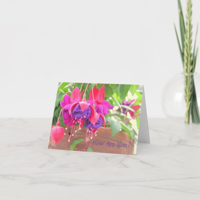 PINK AND PURPLE FUCHSIA CASCADING FROM CLAY POT KARTE (Vorderseite)