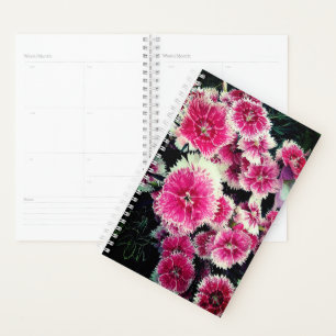 Pink and white flowers