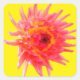 Pink and yellow flower quadratischer aufkleber