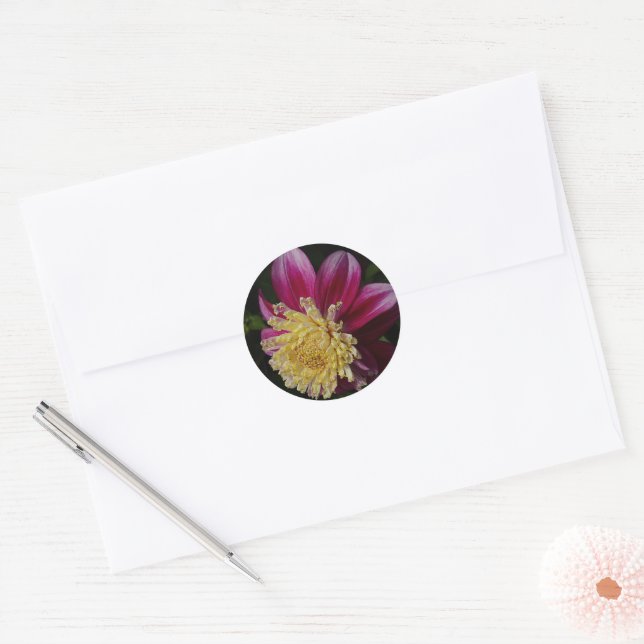 Pink Anemone Dahlia Bloom Floral Runder Aufkleber (Umschlag)