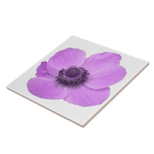 Pink Anemone Tile Fliese