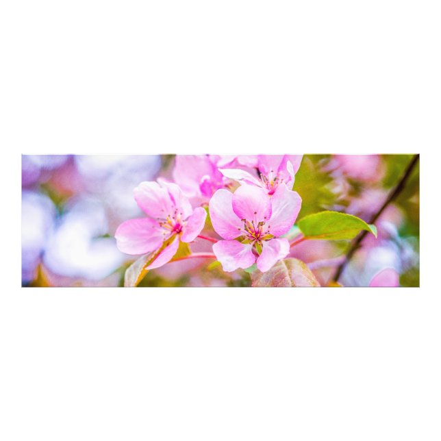 Pink Apple Blossom Fotodruck (Vorne)