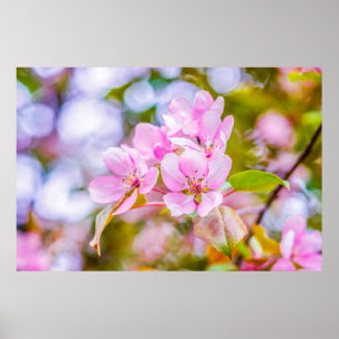 Pink Apple Blossom Poster
