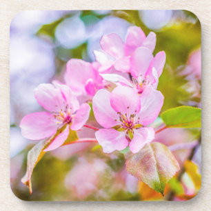 Pink Apple Blossom Untersetzer