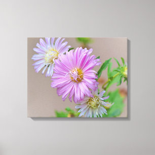 Pink Aster Blume Blumenstrauß Leinwand Printmedien
