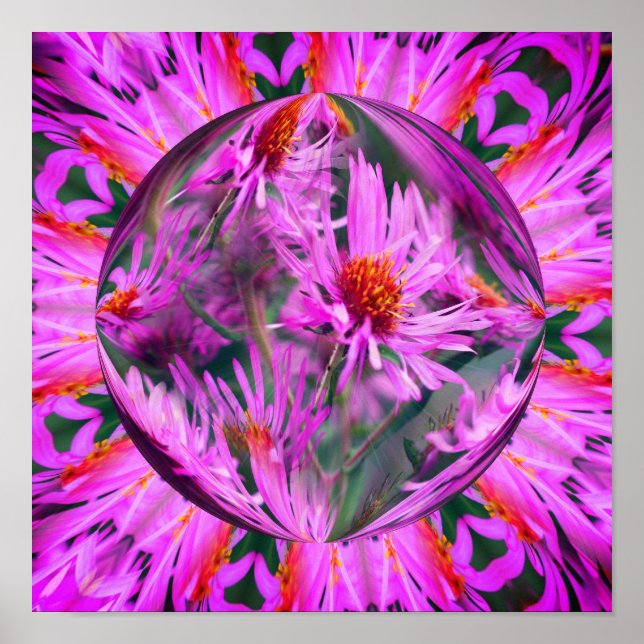 Pink Aster Blume Energie Abstrakte Kunst Poster (Vorne)
