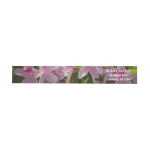 Pink Azalea Bush Frühjahr Floral