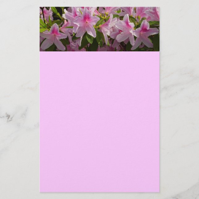 Pink Azalea Bush Frühjahr Floral Briefpapier (Vorderseite)