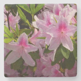 Pink Azalea Bush Frühjahr Floral Steinuntersetzer