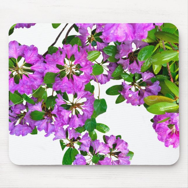 Pink azalea’s mousepad (Vorne)