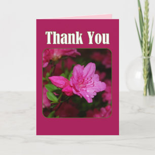 Pink Azalea Vielen Dank Dankeskarte