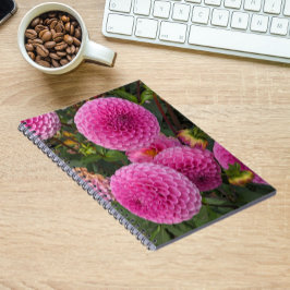 Pink Ball Dahlias Floral Notizblock