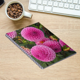 Pink Ball Dahlias Floral Notizblock