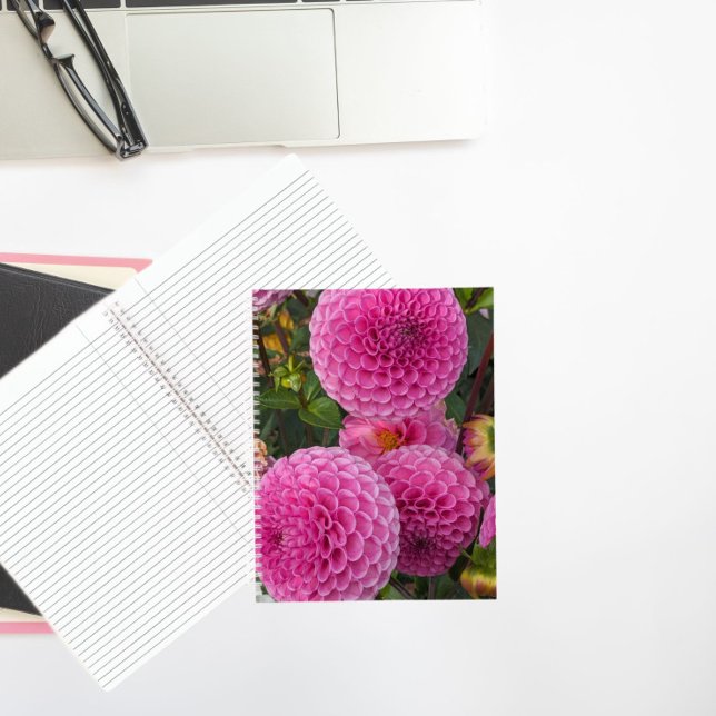 Pink Ball Dahlias Floral Notizbuch (In Situ)