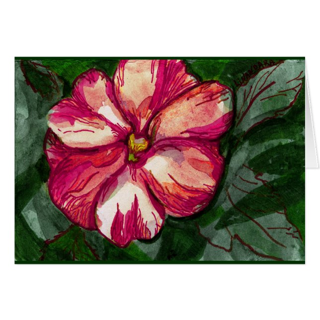 Pink Balsam Blume (Vorderseite (Horizontal))