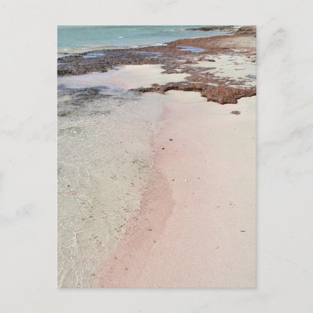 Pink Beach Postkarte (Vorderseite)